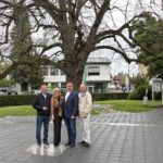 Leibnitz verabschiedet sich von seiner historischen Stadtlinde