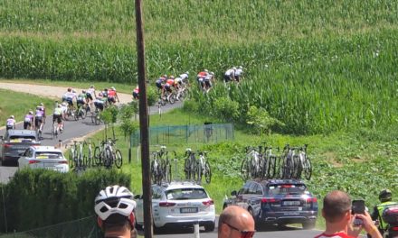 Tour of Austria 2026 führte durch das Gemeindegebiet von Leibnitz