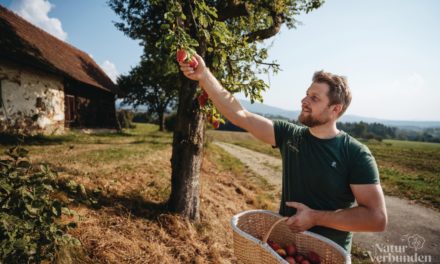 Streuobstaktion 2026: Gemeinsam die Region aufblühen lassen!