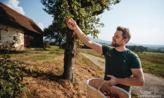 Streuobstaktion 2026: Gemeinsam die Region aufblühen lassen!