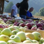 Naturpark Opflsoft 2026: Am 14. September mitmachen