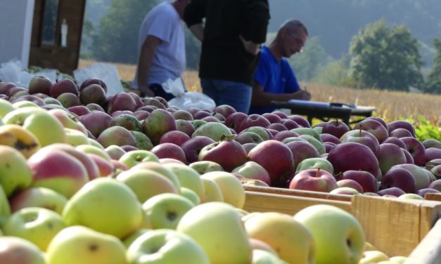 Naturpark Opflsoft 2026: Am 14. September mitmachen