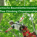 Österreichische Baumklettermeisterschaft 2026