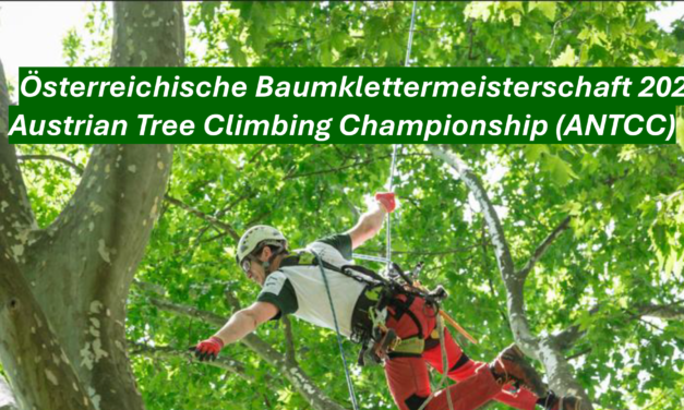 Österreichische Baumklettermeisterschaft 2026