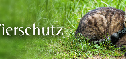 Tierschutzhelden gesucht: Bis Ende August für den Tierschutzpreis 2026 anmelden!