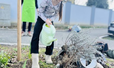 Omas for Future suchen neue Garten-Talente