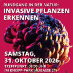 Rundgang in der Natur: Invasive Pflanzenarten erkennen